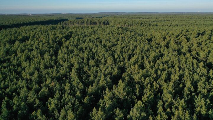 Why humanity is good for the natural world