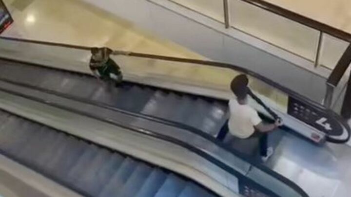 The heroes of Westfield Sydney