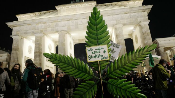 Why is cannabis the only thing greens are liberal about?