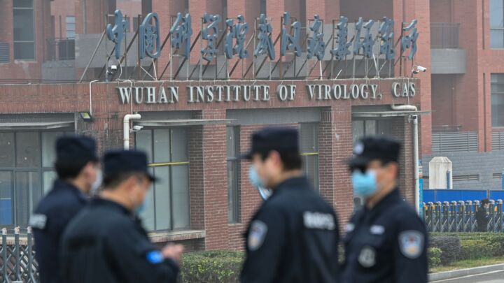 How scientists misled the world about Covid’s origins