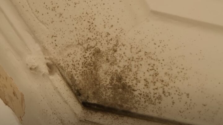 How Net Zero leads to mouldy homes