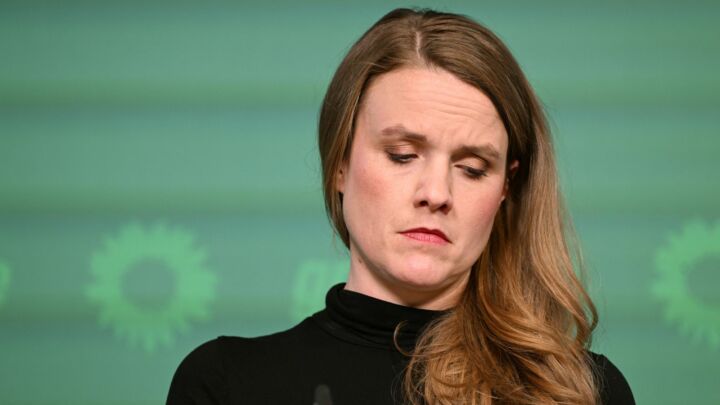 Why greens were the biggest losers in the EU elections