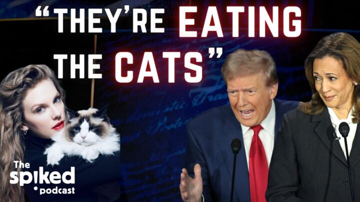 Cat ladies and dog eaters: the Very Online election