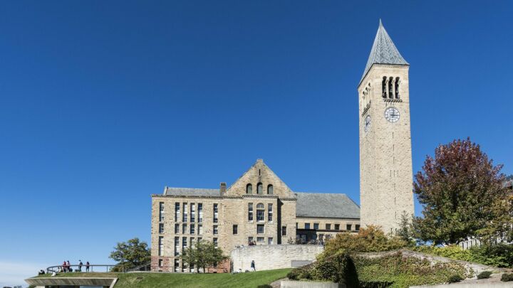 Pro-Palestine protesters must have free speech, too