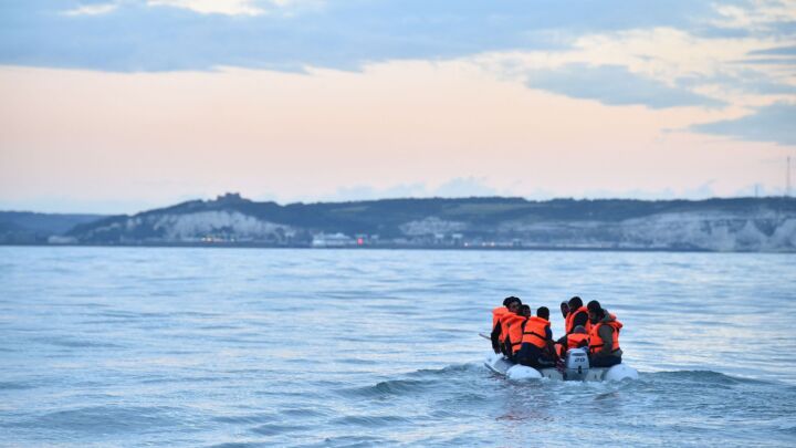 In 2024, our insane asylum rules became impossible to ignore