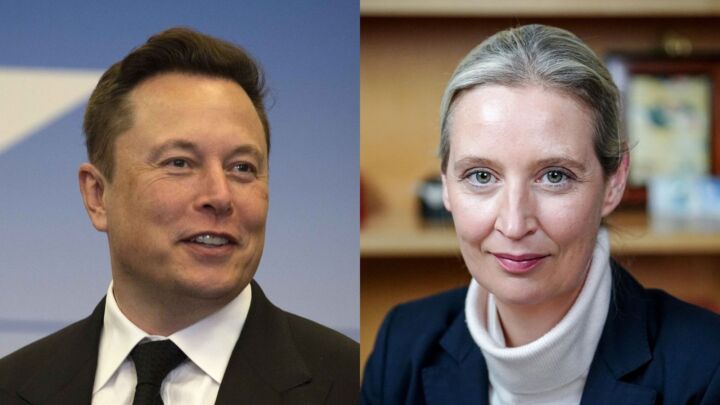 Elon Musk’s AfD livestream has sent the German elites into meltdown