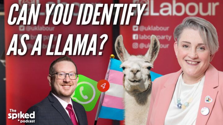 Can you identify as a llama?
