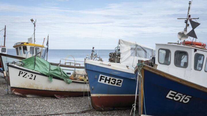 The EU is sabotaging its security because of fish