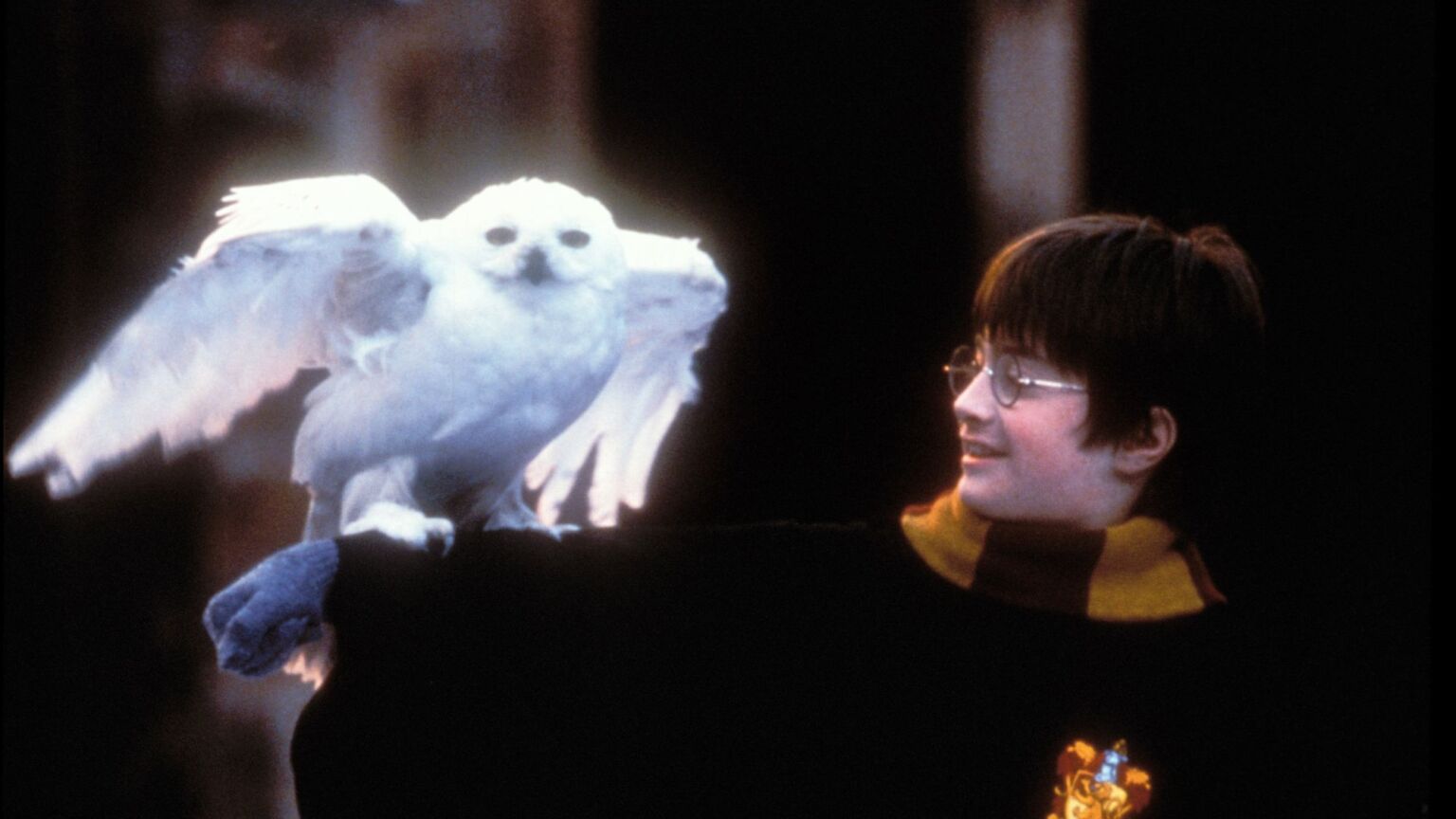 Now students are being ‘triggered’ by Harry Potter