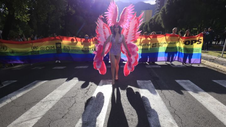 Fairy pronouns? The gender fanatics live in fantasy land