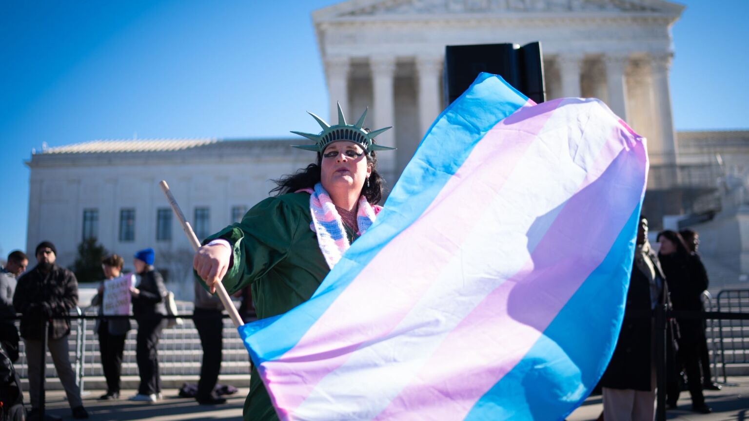 The Orwellian madness of letting boys on to girls’ sports teams