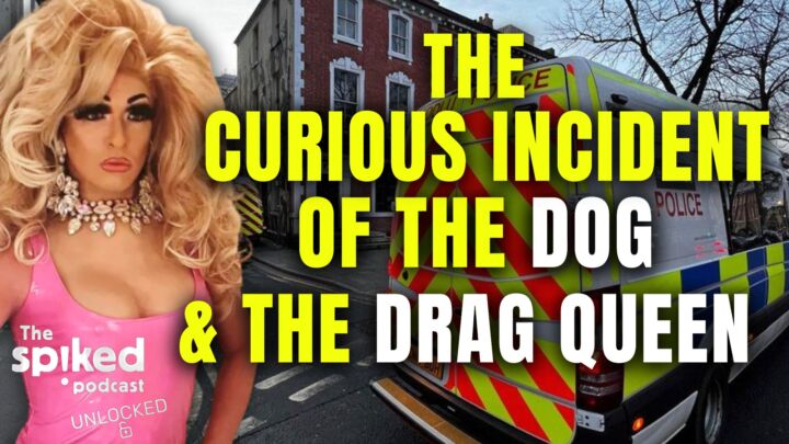 The curious incident of the dog and the drag queen