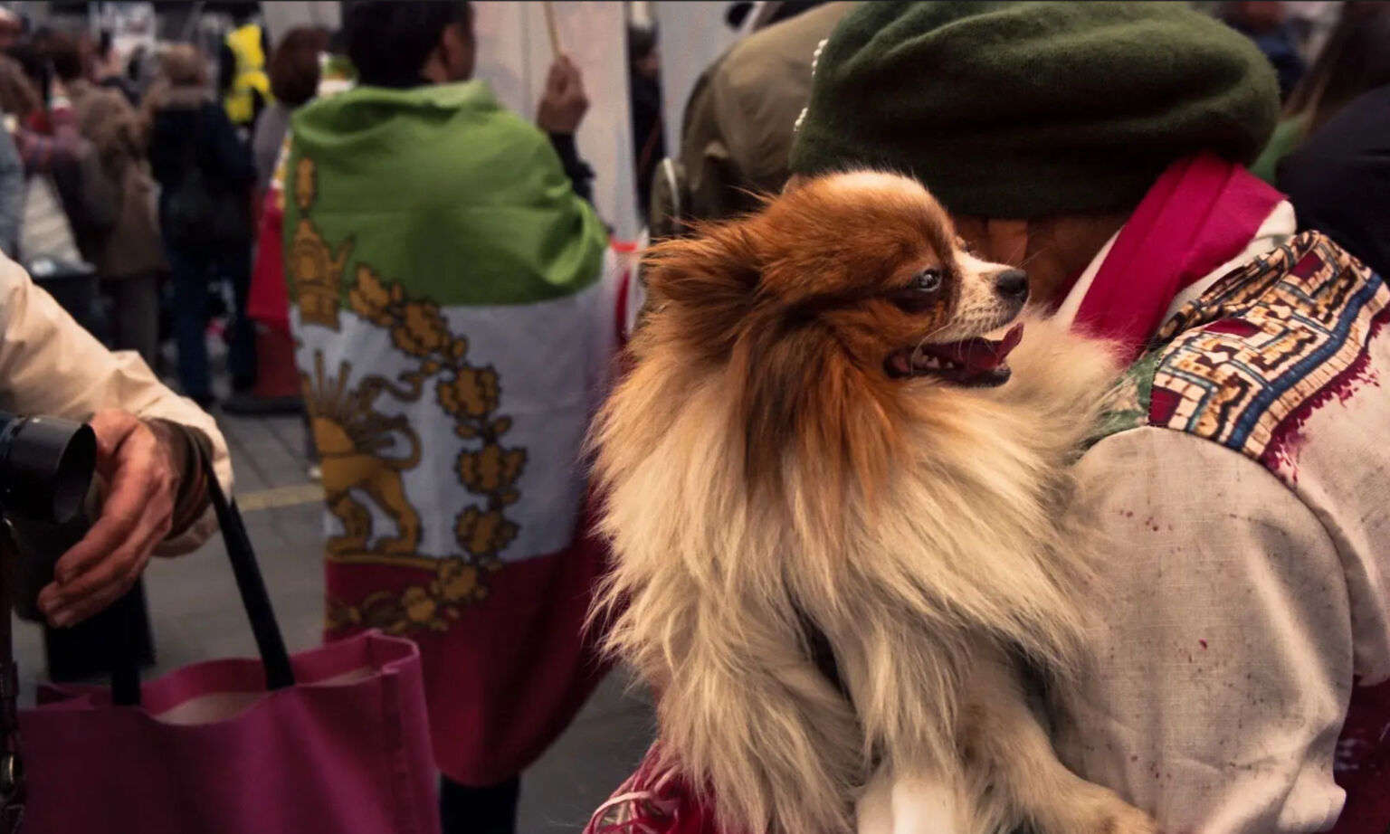 A warning from Britain’s Iranian diaspora