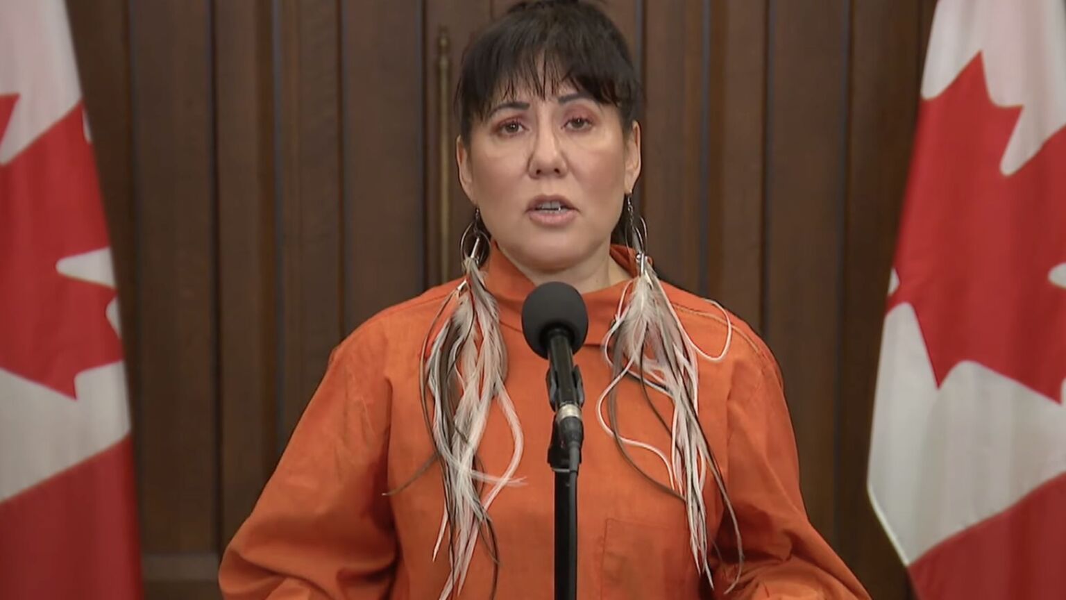 What the hell is a ‘MMIWG2SLGBTQQIA+’ person?