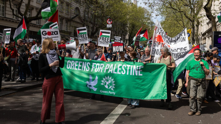 Pro-Palestine sectarians are poisoning democracy