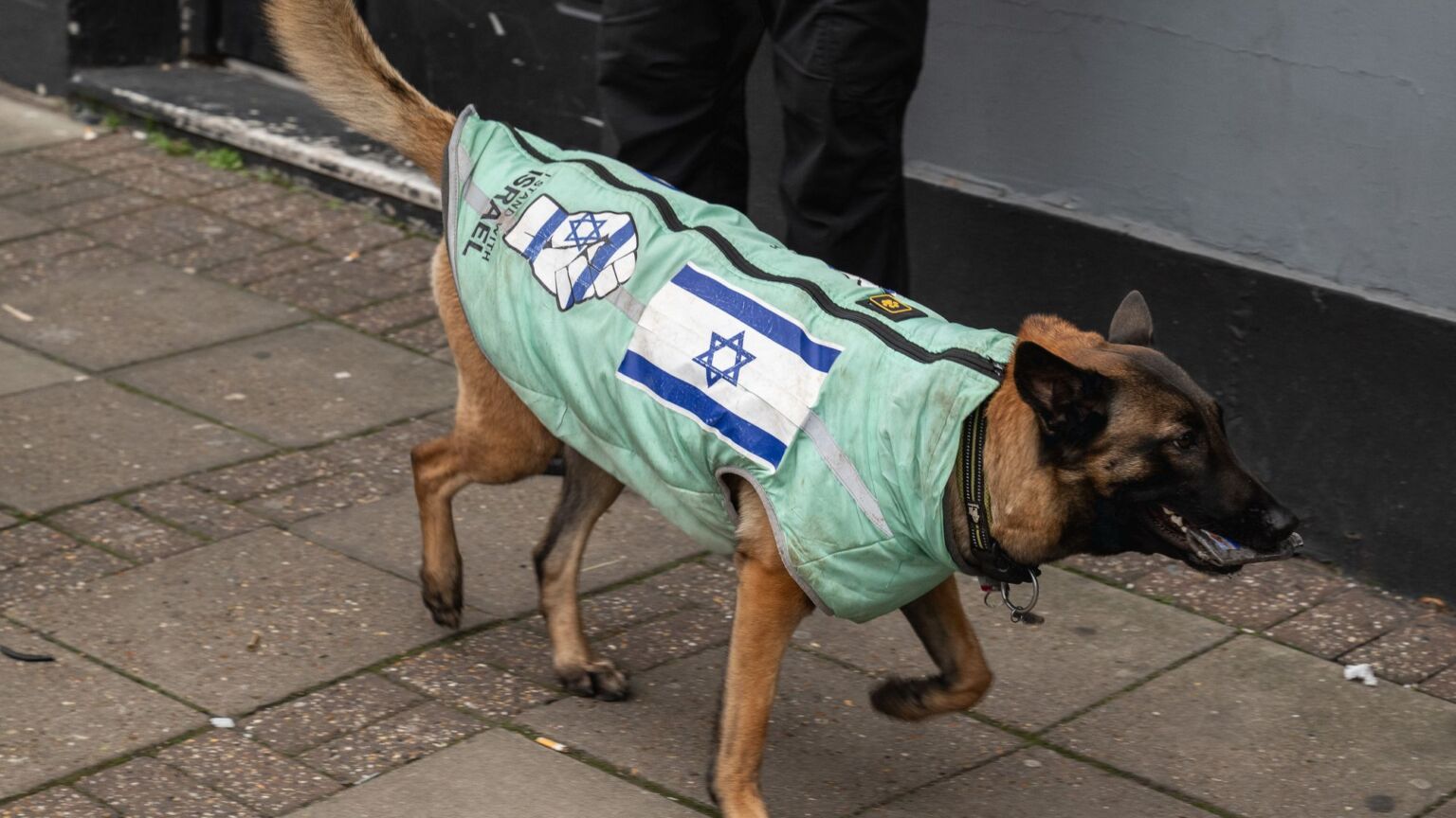 Israeli rape dogs? The New York Times is barking mad