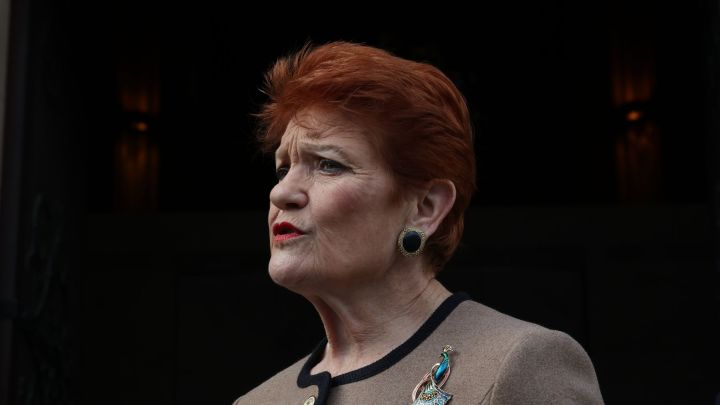 Pauline Hanson is gunning for Aussie establishment