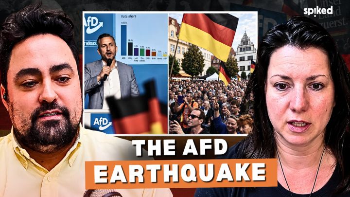 The AfD landslide: explained